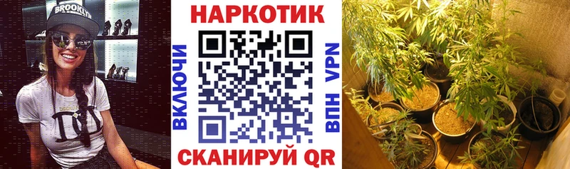 Какие есть наркотики Магнитогорск Канабис  Псилоцибиновые грибы  Кокаин  ГАШ  Меф  APVP 