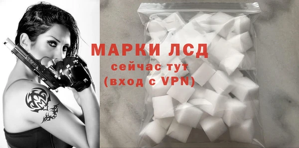 мдпв Горнозаводск