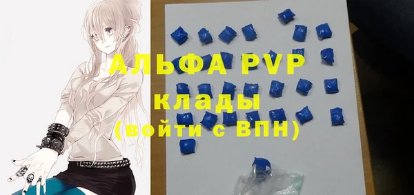 мдпв Горнозаводск