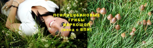 мдпв Горнозаводск