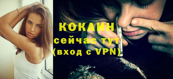 мдпв Горнозаводск