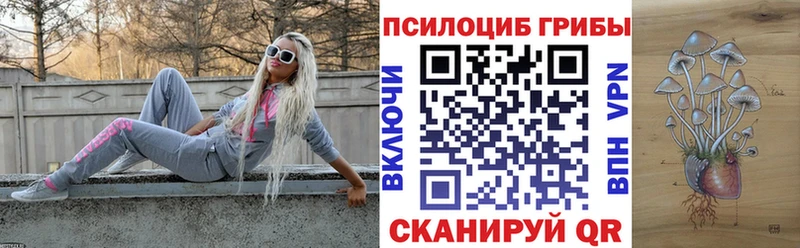 Галлюциногенные грибы Psilocybe  kraken как войти  Магнитогорск  купить закладку 